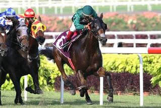 Gilt Complex wins the Raffles Cup at Kranji. Photo: Singapore Turf Club